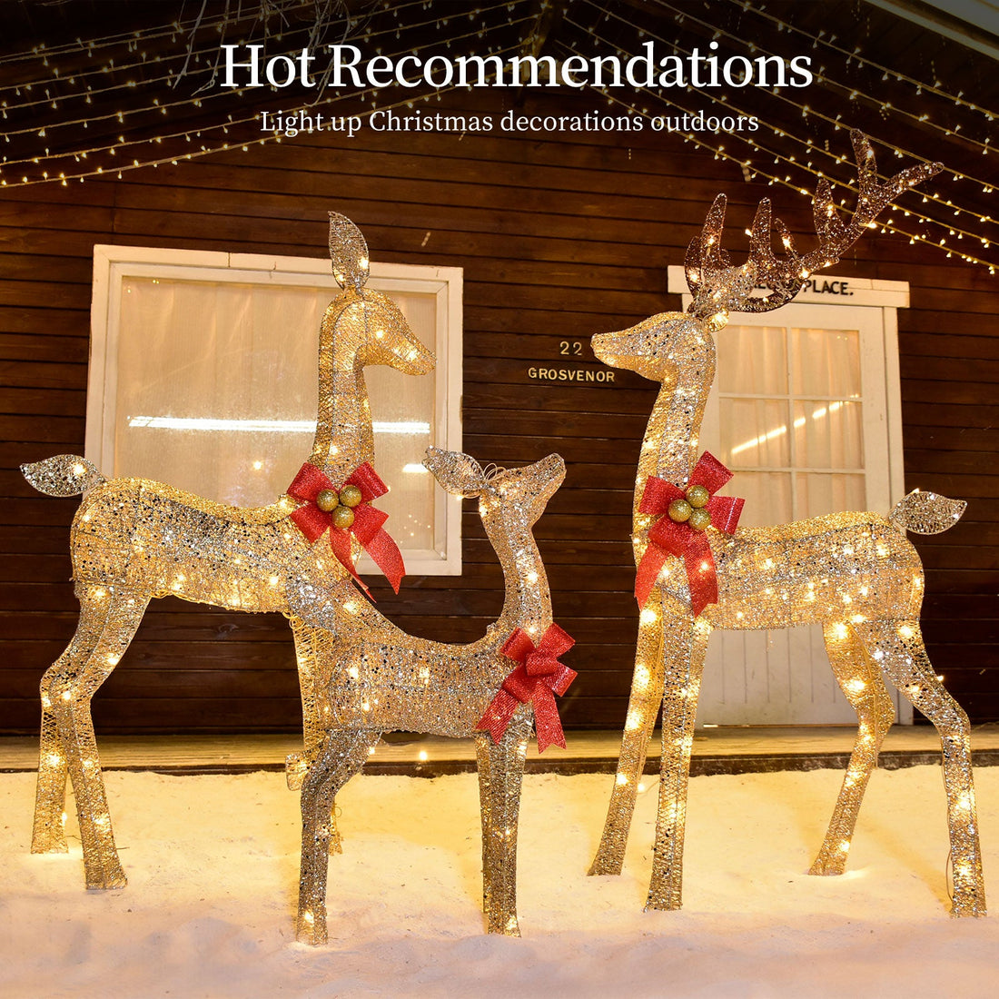 Illuminate Your Holidays with the Enchanting Lighted Christmas Deer Family Set!